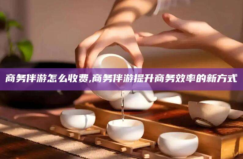 慈利商务伴游怎么收费,商务伴游提升商务效率的新方式